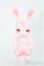 画像1: cocoriang/Tobi~SAKURA Limited~ I-25-02-16-1008-TO-ZI (1)