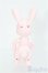 画像2: cocoriang/Tobi~SAKURA Limited~ I-25-02-16-1008-TO-ZI (2)