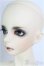 画像3: 【SALE】BJD CROBI/Nia I-24-08-18-1002-TO-ZI