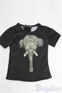 SD13BOY/OF Tシャツ I-25-09-28-157-TO-ZI