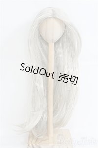 9〜10inch/ウィッグ I-25-04-06-2026-TO-ZI