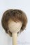 画像1: 7〜8inch/ウィッグ I-25-04-20-2014-TO-ZI (1)