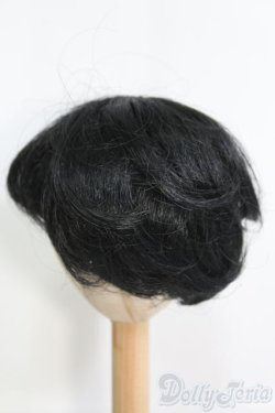 画像2: 8〜9inch/ウィッグ I-25-04-20-3025-TO-ZI