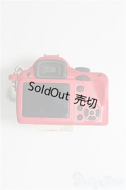 画像2: 1/3、1/4ドール/カメラ I-25-03-09-3149-TO-ZI