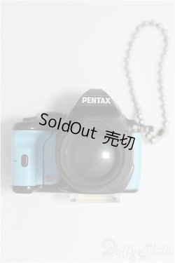 画像1: 1/3、1/4ドール/カメラ I-25-03-09-3148-TO-ZI