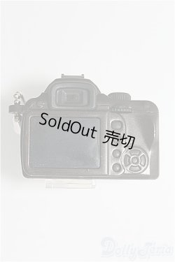 画像2: 1/3、1/4ドール/カメラ I-25-03-09-3148-TO-ZI