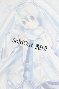 DD/雪ミク I-24-09-08-1005-TO-ZI