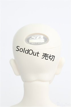 画像4: SD13BOY/近衛司ワンオフモデル I-24-09-08-1001-TO-ZI