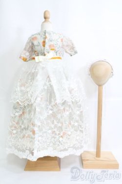 画像3: SD/OF ドレスセット I-25-04-20-3031-TO-ZI