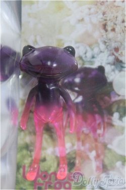 画像1: 【SALE】フォーチュンワンダフレンド/エイヤ・ハロネ I-24-09-22-1097-TO-ZI