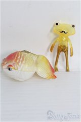 【SALE】フォーチュンワンダフレンド/マルメ・コガネ 金魚 I-24-09-15-1100-TO-ZI