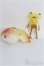 画像1: 【SALE】フォーチュンワンダフレンド/マルメ・コガネ 金魚 I-24-09-15-1100-TO-ZI (1)