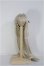 画像2: 8-9inch/ウィッグ　Ronshuka Couture 様製 I-25-04-13-1088-TO-ZI (2)
