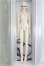 画像5: 【SALE】XAGADOLL/STORM I-24-09-29-1006-TO-ZI