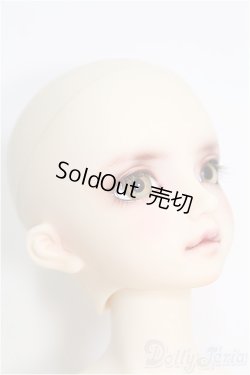 画像3: SD/F-59 ワンオフモデル I-24-10-06-1082-TO-ZI