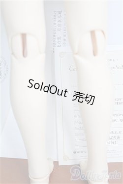 画像7: SD/F-59 ワンオフモデル I-24-10-06-1082-TO-ZI