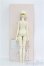 画像6: 【SALE】Asleep Eidolon/Aure I-24-10-06-1010-TO-ZI
