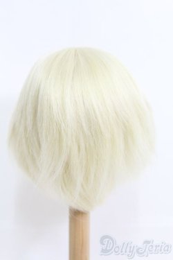 画像2: 9-10inch/ウィッグ I-25-05-25-2028-TO-ZI