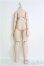 画像2: 【SALE】MDD/もちあしベースボディ(DD-f3) I-24-10-13-1067-YB-ZI (2)