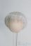 画像1: 3.5inch-4inch/ウィッグ I-25-05-04-2011-YB-ZI (1)