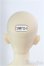 画像4: 【SALE】SWITCH/HD60 YIHO：DollismPlusTokyo2018 I-24-10-06-1006-TO-ZI