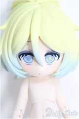 【SALE】一万回の脱出計画BJD/ヒョウ 豹 STAR PICKING I-24-10-20-1060-YB-ZI