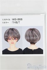【SALE】8-9inch/ウィッグ I-24-11-10-1103-TO-ZI