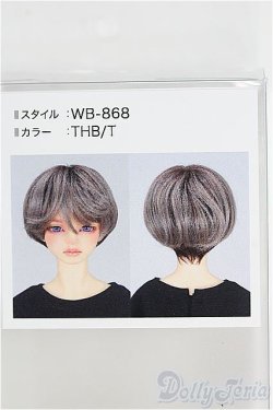 画像1: 【SALE】8-9inch/ウィッグ I-24-11-10-1103-TO-ZI