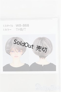 画像1: 8-9inch/ウィッグ I-25-05-11-1086-TO-ZI