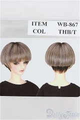 【SALE】8-9inch/ウィッグ I-24-11-10-1104-TO-ZI