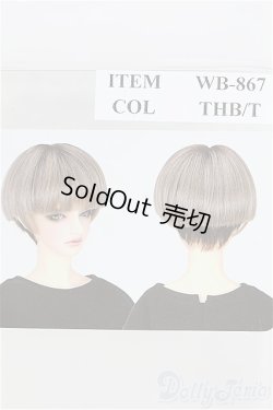 画像1: 8-9inch/ウィッグ I-25-05-11-1084-TO-ZI