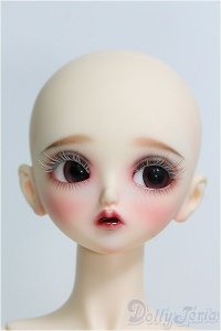 【SALE】Peak's Woods/FOB Lady Bee I-24-11-10-1063-TO-ZI