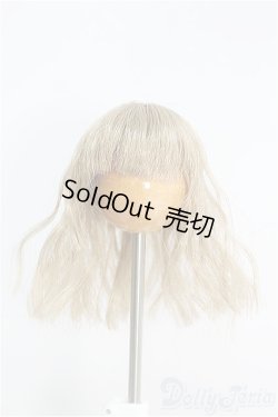 画像1: 5inch/ウィッグ I-24-12-01-2026-YB-ZI