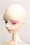 画像3: 【SALE】DOLL CHATEAU/Alan(human)フルセット I-24-11-17-1005-TO-ZI