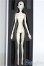 画像5: 【SALE】DOLL CHATEAU/Alan(human)フルセット I-24-11-17-1005-TO-ZI