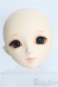 【SALE】PARABOX/ヘッド PB 47-01 I-24-12-01-1104-YB-ZI
