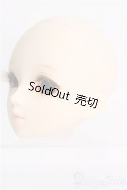 画像2: 【SALE】PARABOX/ヘッド PB 47-01 I-24-12-01-1104-YB-ZI