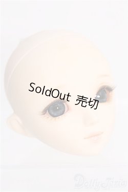 画像3: 【SALE】PARABOX/ヘッド PB 47-01 I-24-12-01-1104-YB-ZI