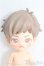 画像1: SIMONTOYS/ペテルソン園遊会 I-25-03-09-1077-TO-ZI (1)