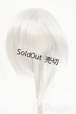画像1: 8-9inch/ウィッグ Y-26-02-04-170-TO-ZY