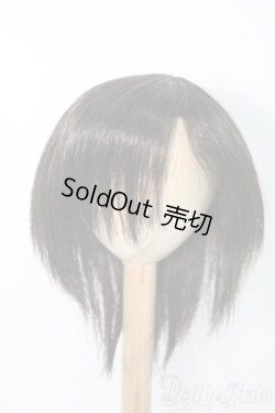 画像1: 8-9inch/ウィッグ/インチ　BJD　MJD　ドール用 I-25-07-13-3028-TO-ZI