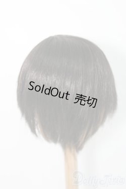 画像2: 8-9inch/ウィッグ/インチ　BJD　MJD　ドール用 I-25-07-13-3028-TO-ZI