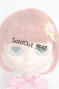 ネオブライス/世界にひとつだけのブライス I-24-12-08-1073-TO-ZI