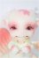 画像1: 【SALE】Aileen Doll/Cherry blossoms editon Shy I-24-12-29-1011-TO-ZI (1)