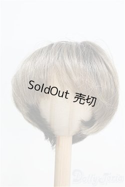 画像1: 【SALE】8-9inch/ウィッグ I-24-12-29-3044-TO-ZI