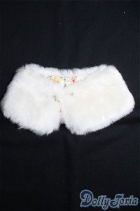 【SALE】SD/OF:小物 I-25-02-02-2139-TO-ZI