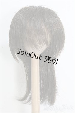 画像1: 9-10inch/ウィッグ/インチ　BJD　MJD　ドール用 I-25-08-10-311-TO-ZI