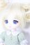 画像3: 【SALE】DOLLCE/ミニスウィーツドール：スノーローズマリー I-24-12-22-1065-TO-ZI (3)