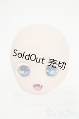 DD/DDH-01 カスタムヘッド(ichigo ハムスター様) Y-25-12-24-009-TO-ZY