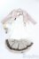 画像3: 【SALE】MDD/OF:TOA Claris様製衣装セット I-24-12-22-1086-TO-ZI (3)